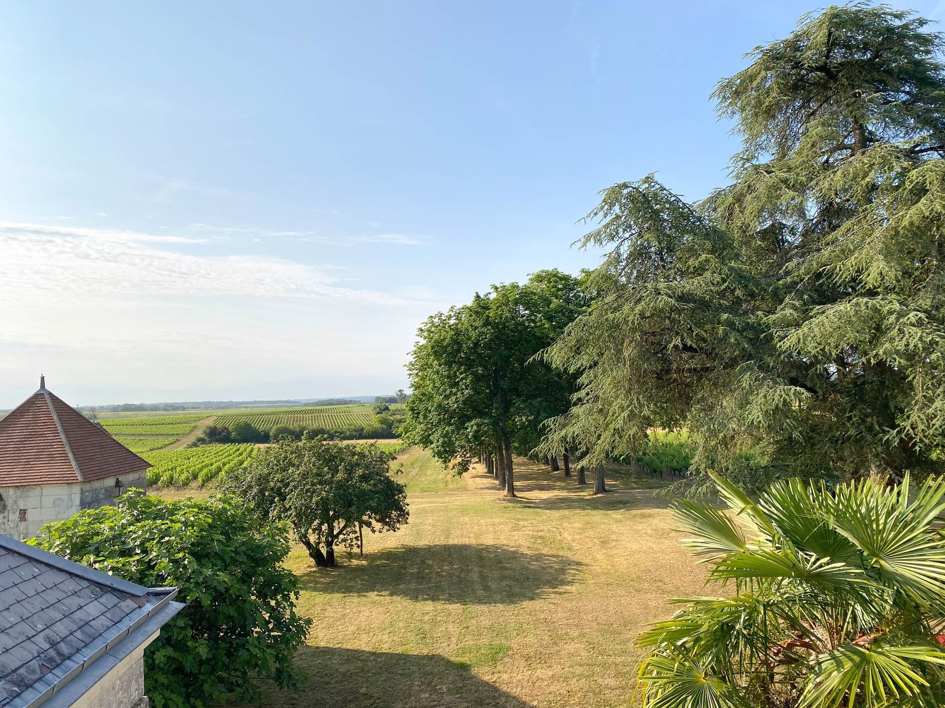 Château de Thésée