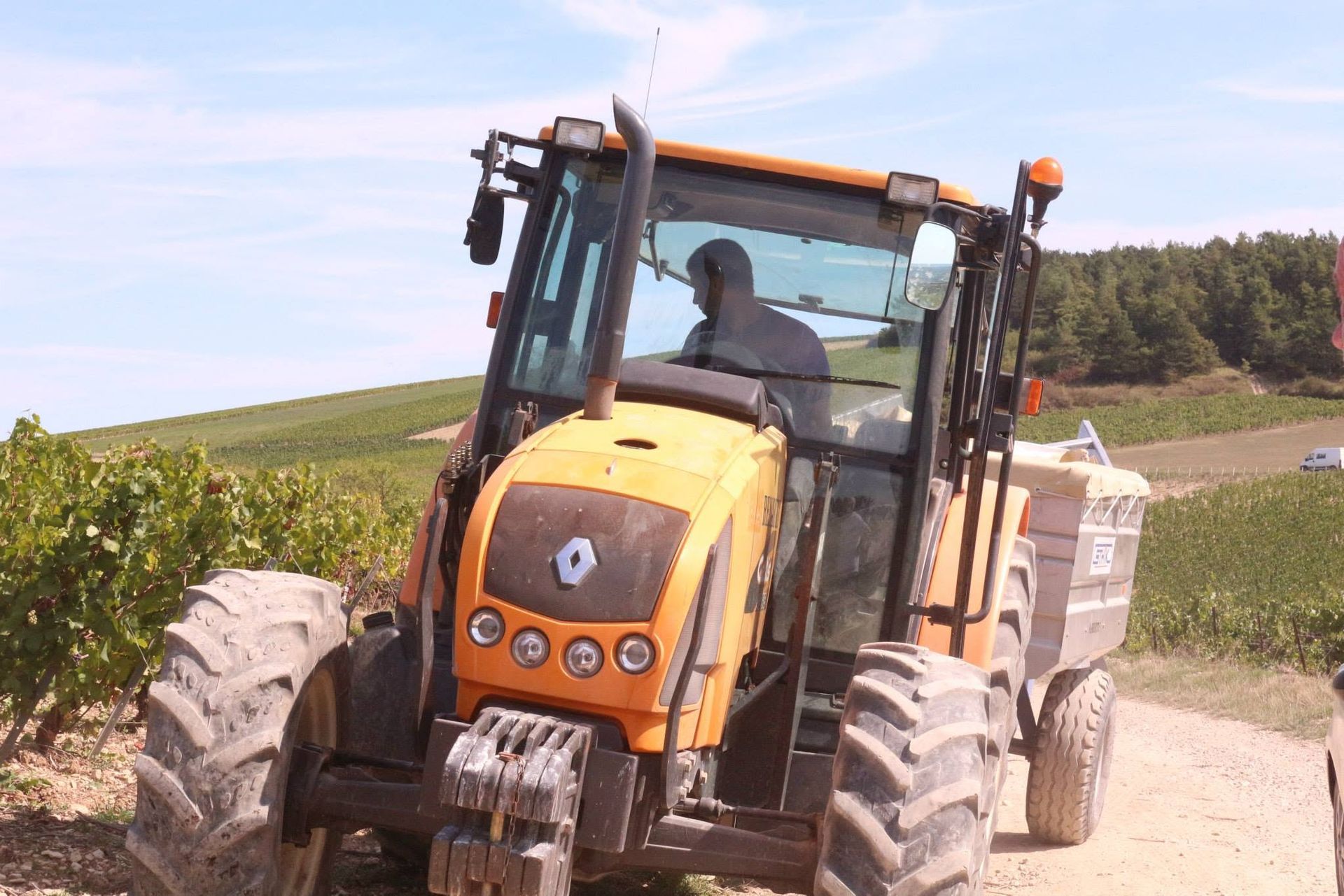 Domaine Bersan
