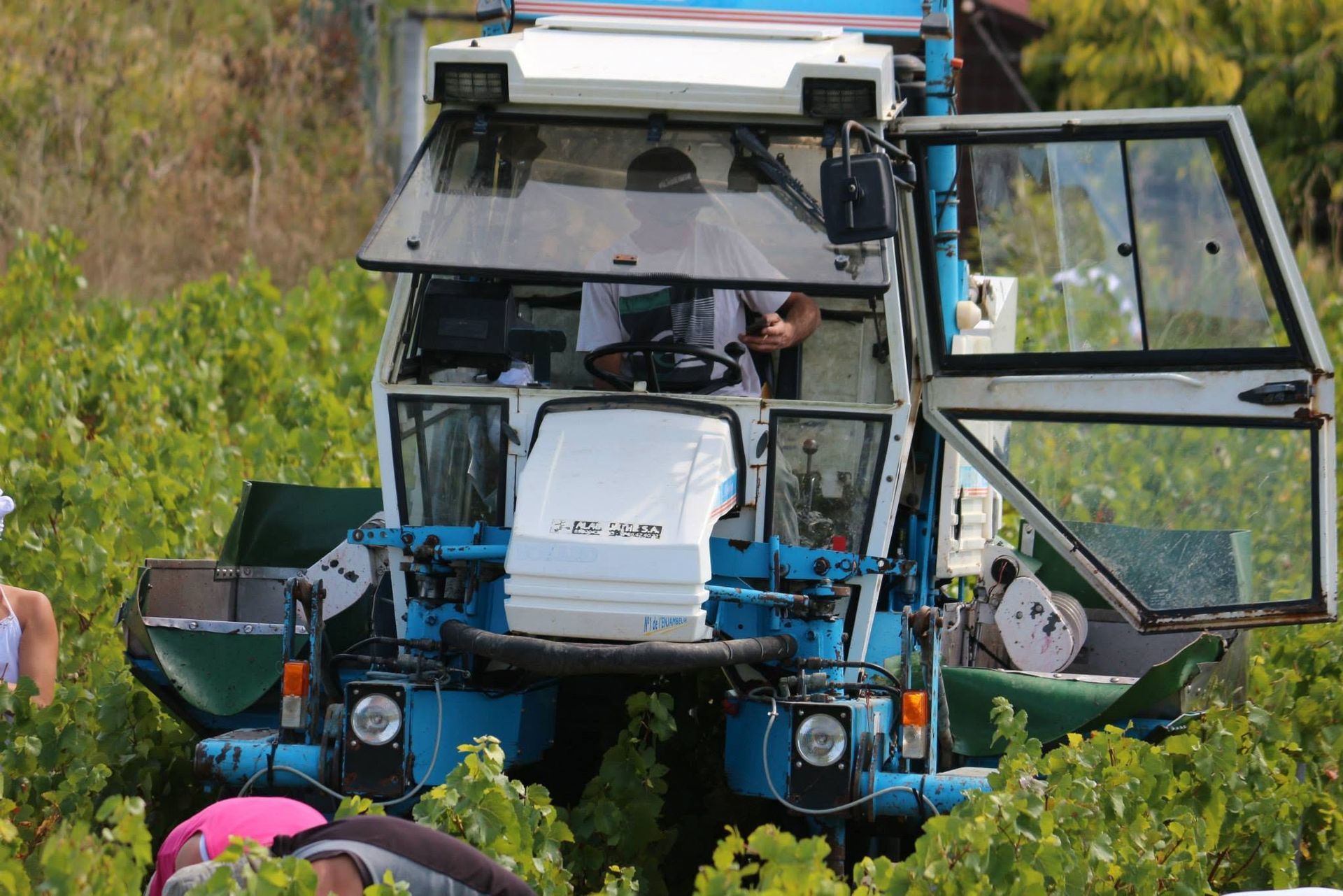 Domaine Bersan