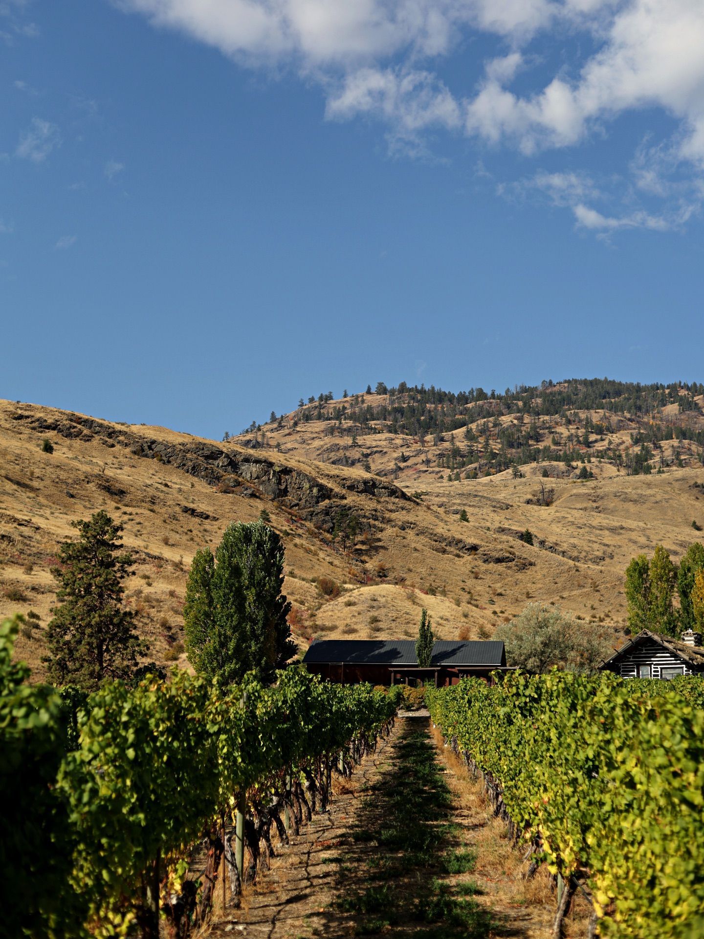 Rust Wine Co.