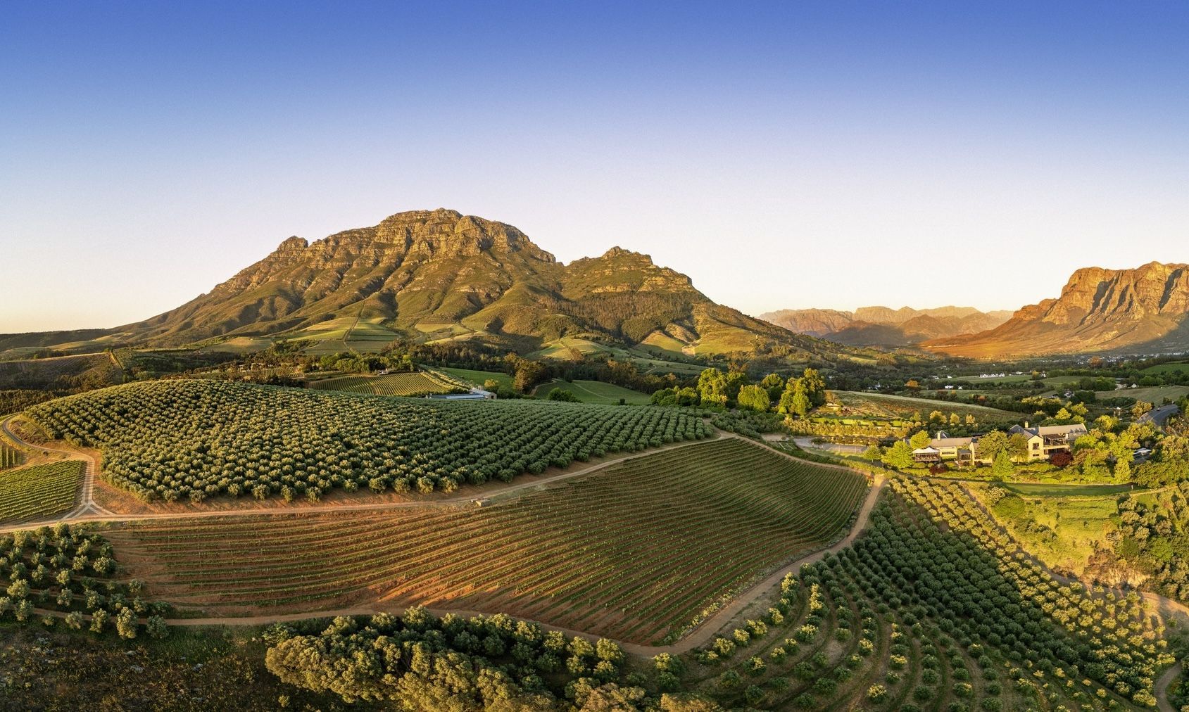 Tokara Estate
