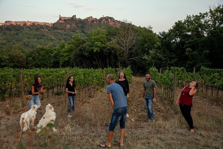 Ampeleia - The People of Ampeleia in the Vineyards