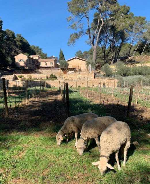 Gilbert & Gaillard Vineyards