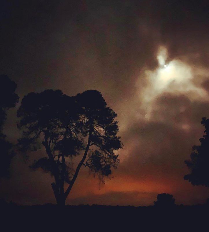 Sunset in Gilbert & Gaillard Vineyards