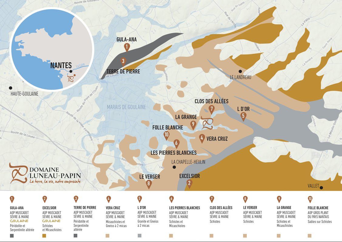 Domaine Luneau-Papin Vineyard Map