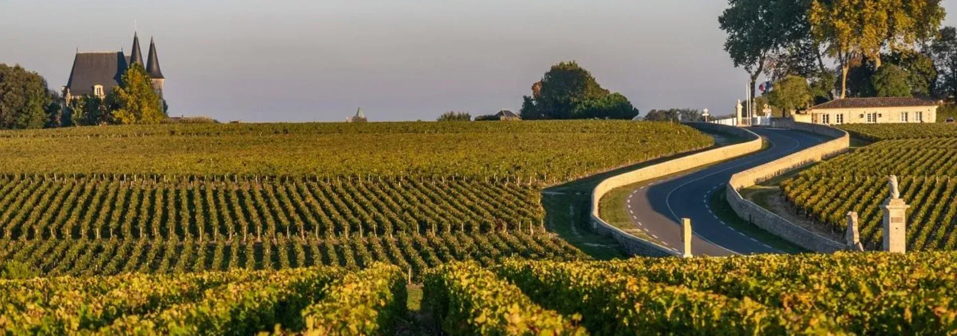 Château Bellegrave vineyard landscape with a winding road leading to a building, under a hazy sky.