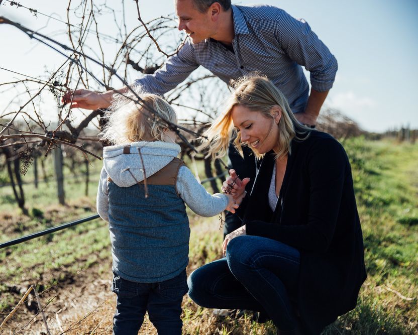 Bondar Wines