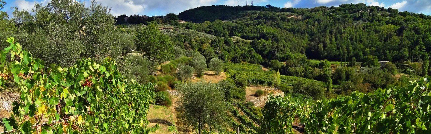 Casa Raia Landscape