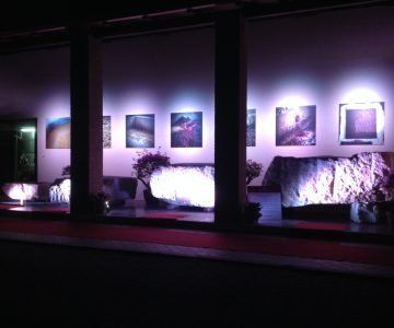Art gallery display at night, featuring illuminated artwork, stone sculptures, and a red carpet.