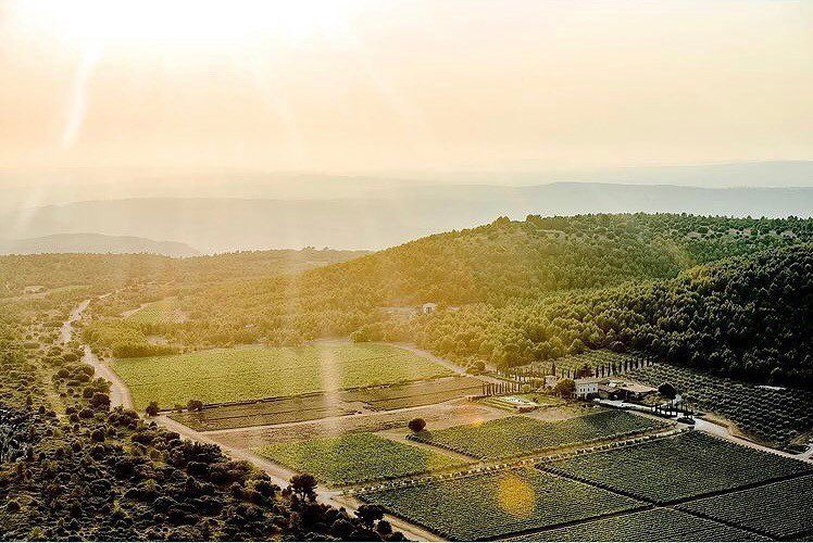 Domaine des Masques Sunset