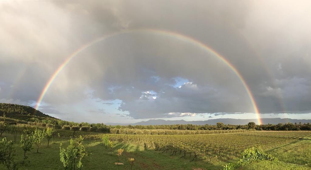 Domaine des Masques - Rainbow