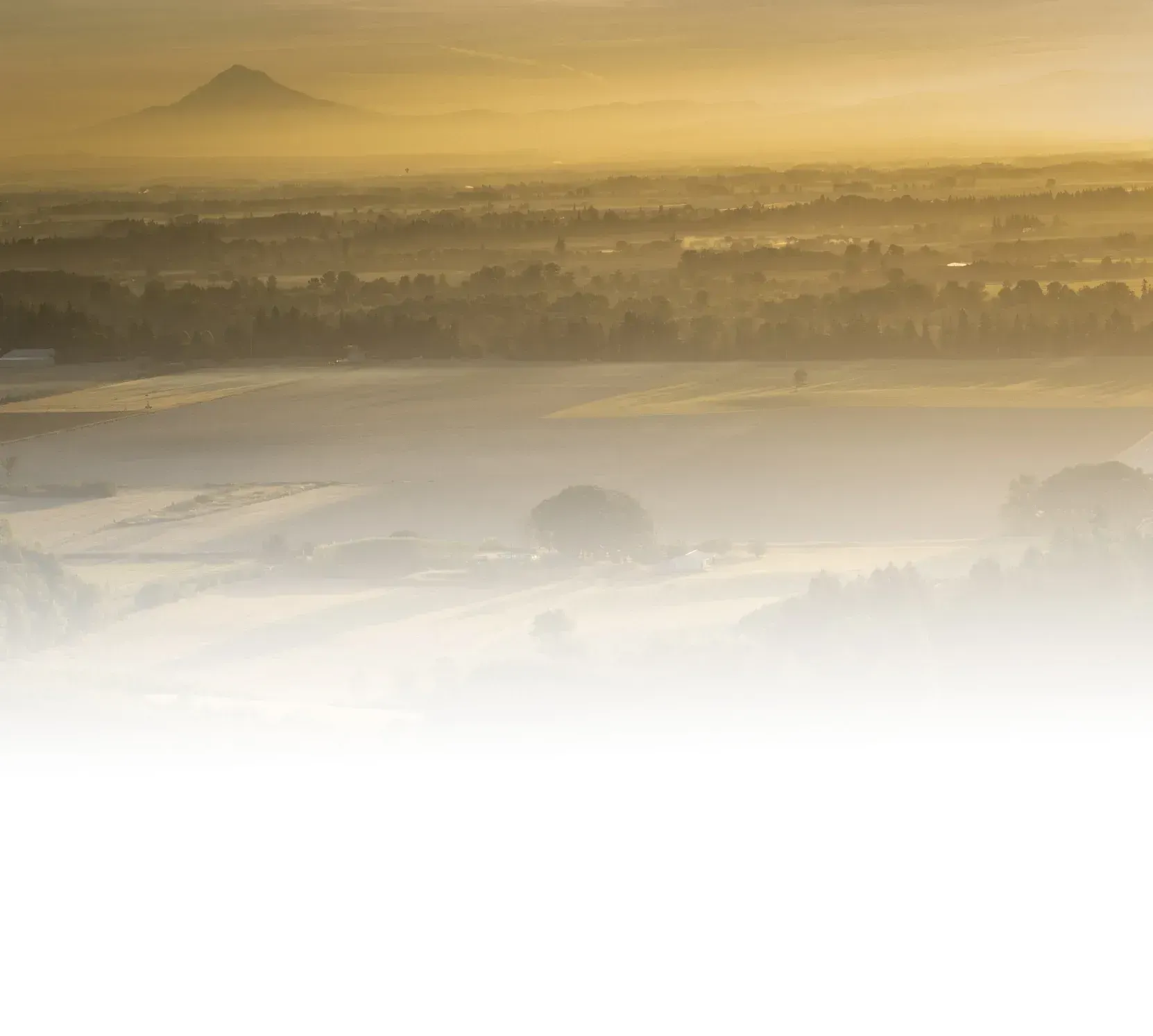 Hazy landscape of fields and trees with a distant mountain