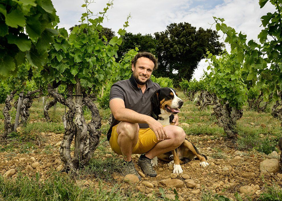 One of the oldest domaines in Châteauneuf-du-Pape—biodynamic, bold, and beautiful.