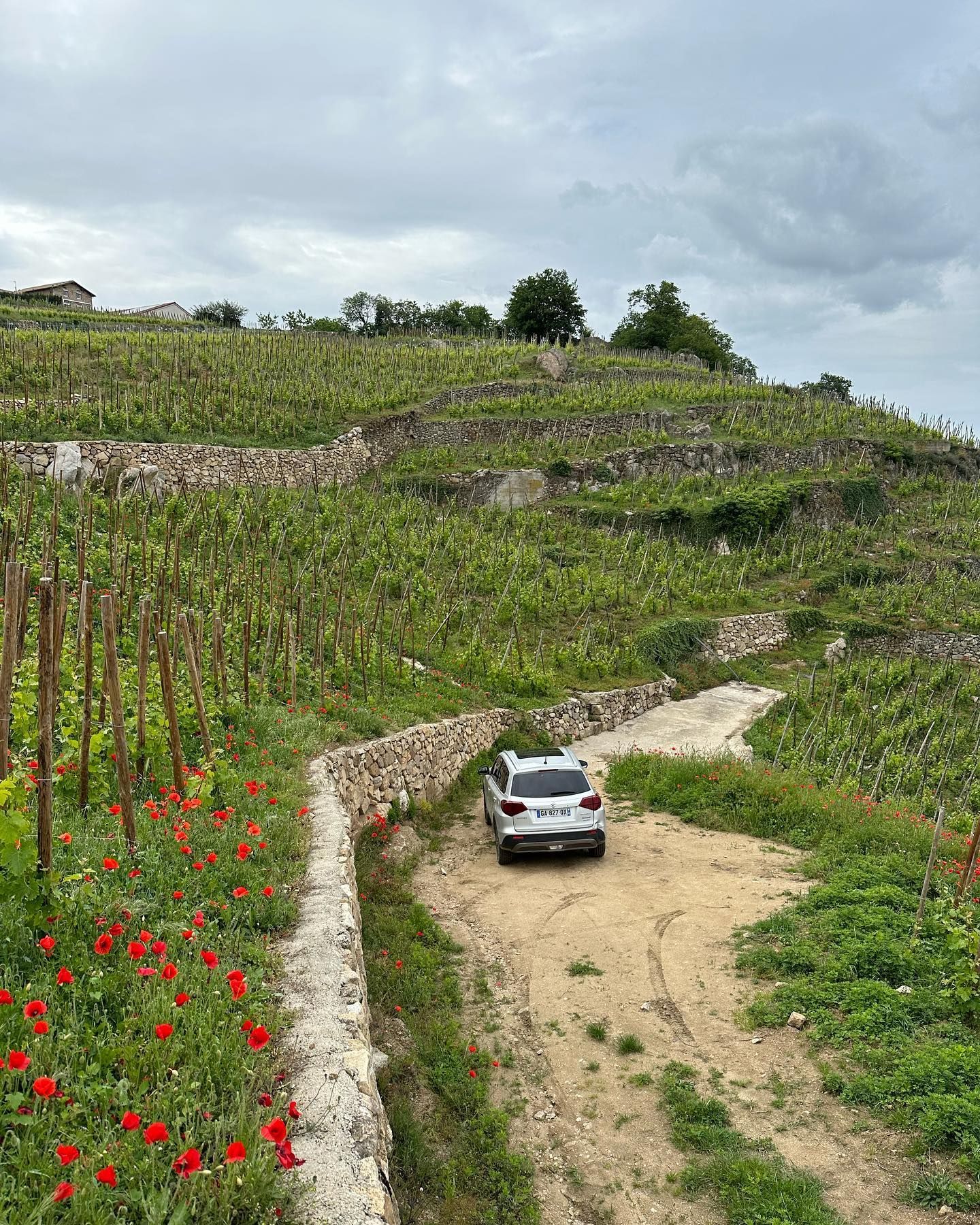 Car parked on a dirt road in a vineyard on a hillside, at Francois Villard winery.