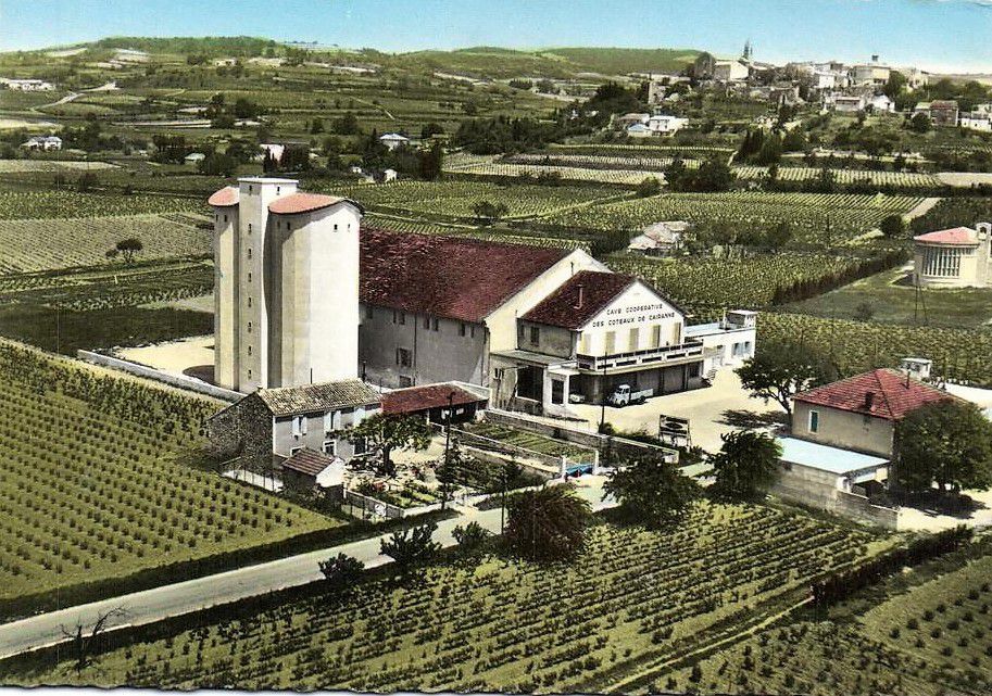 Cave De Cairanne Vineyards