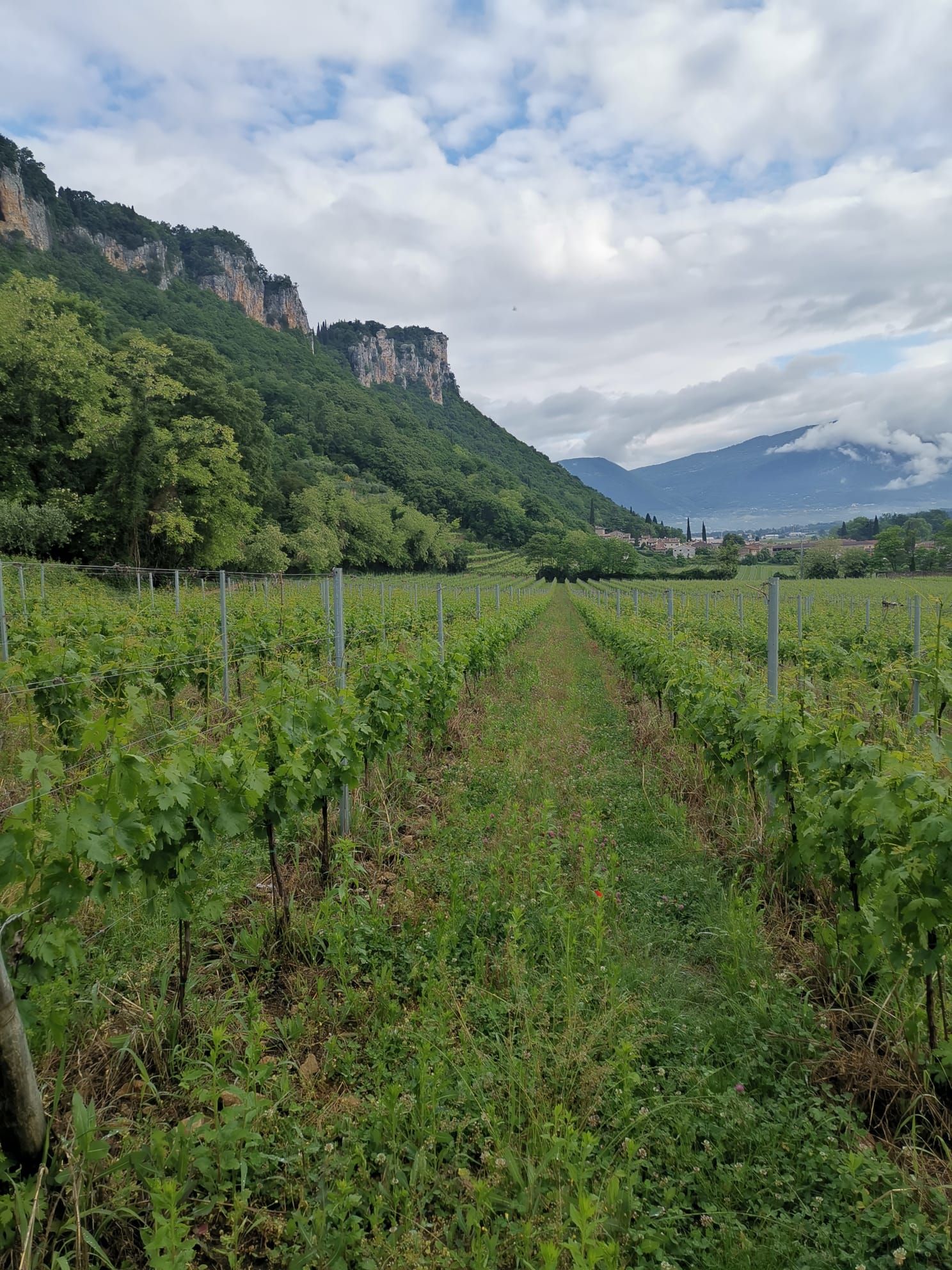 Le Fraghe