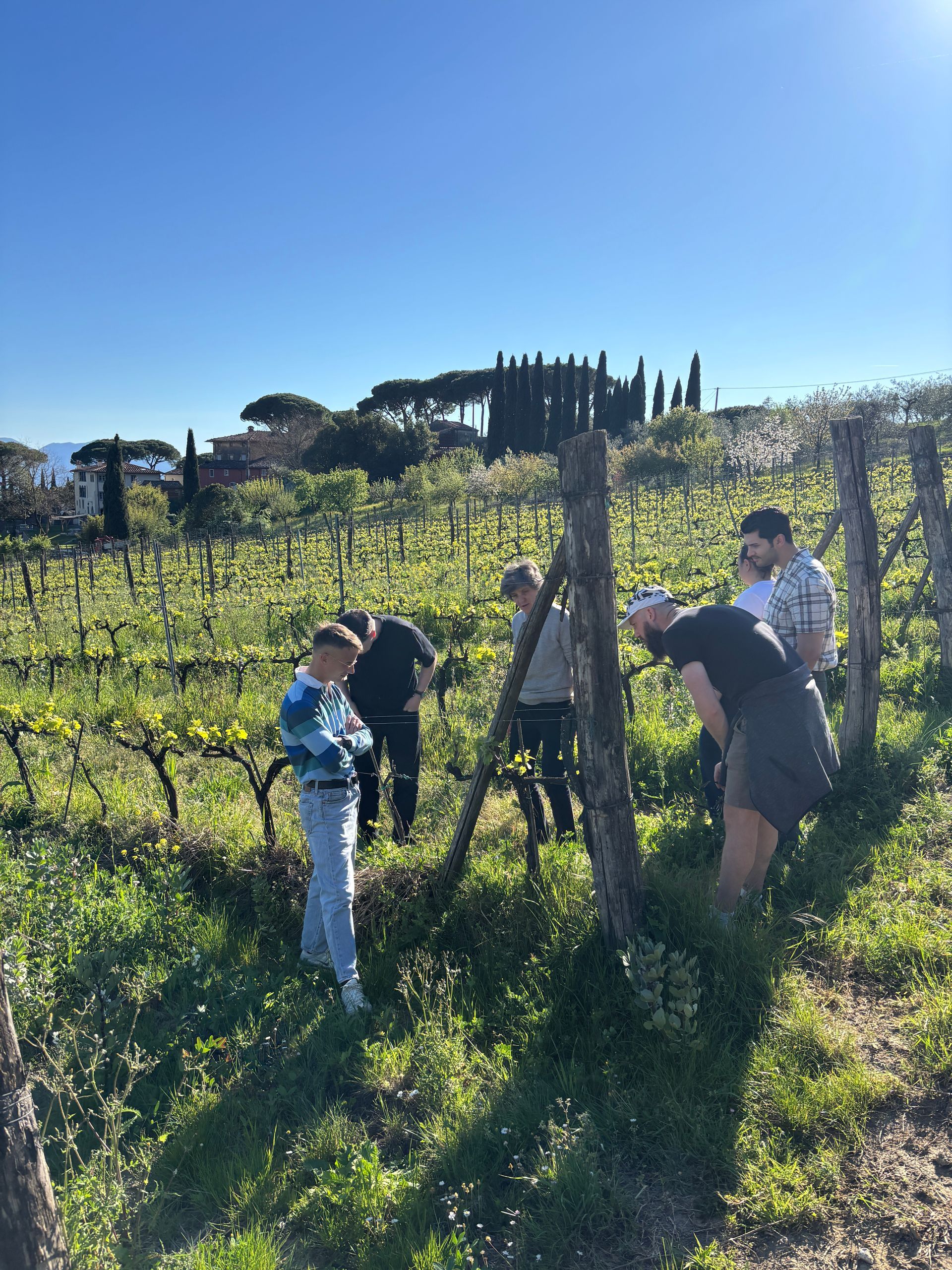 Tenuta di Valgiano