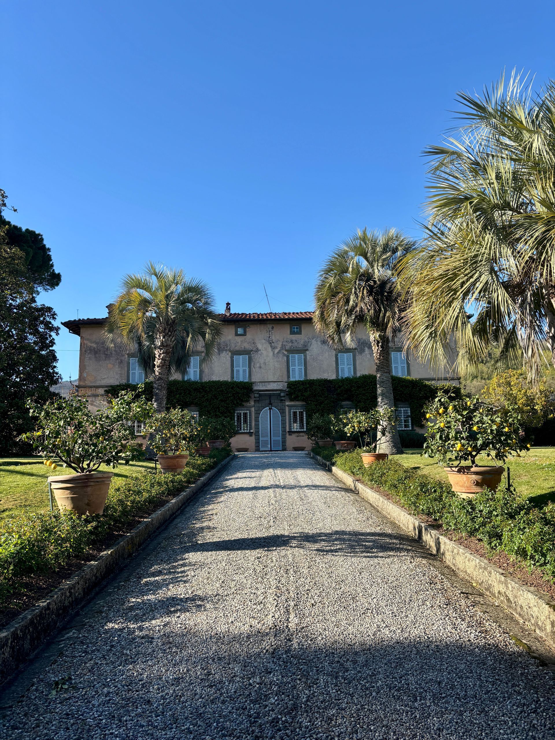 Tenuta di Valgiano