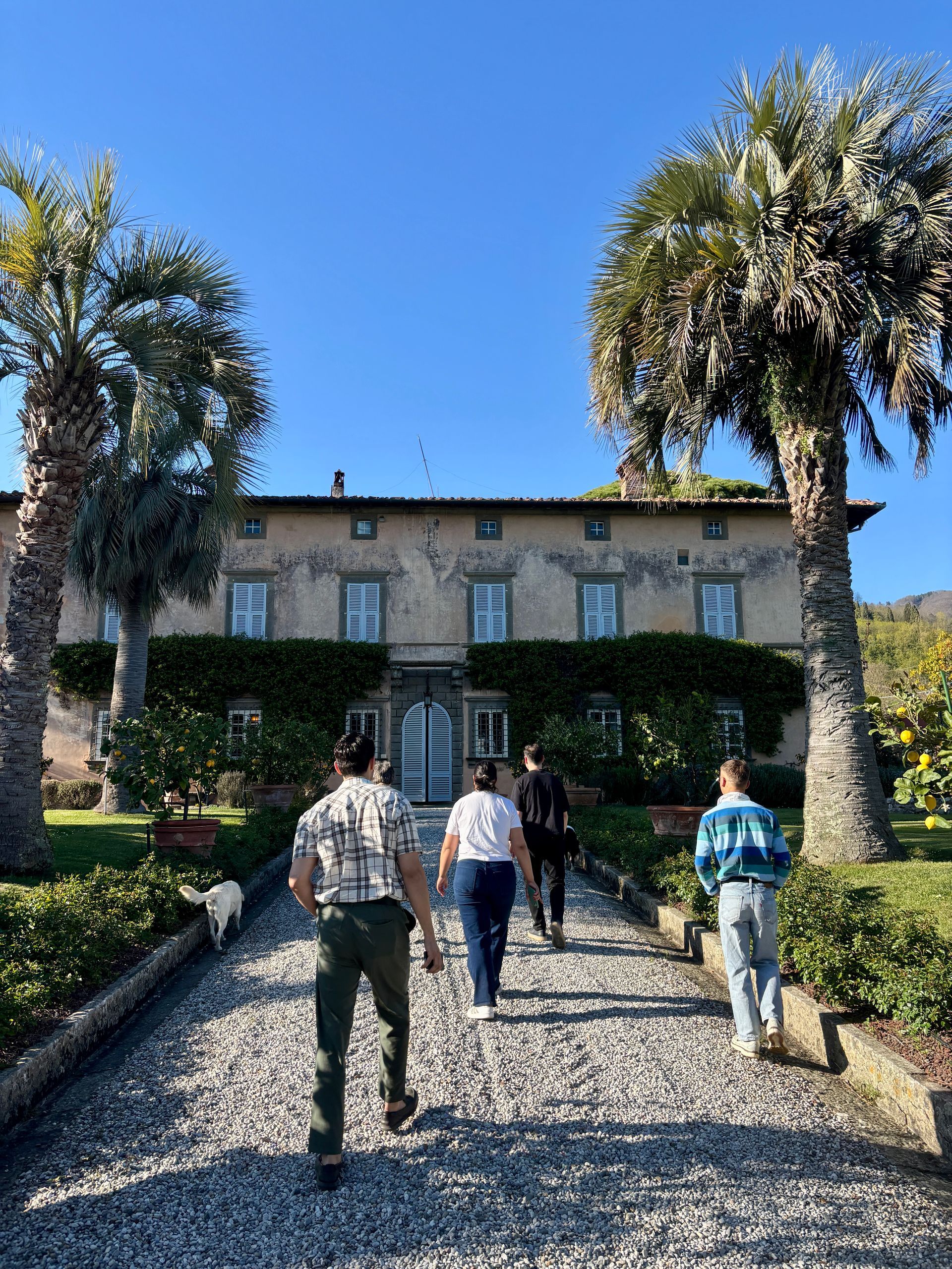 Tenuta di Valgiano