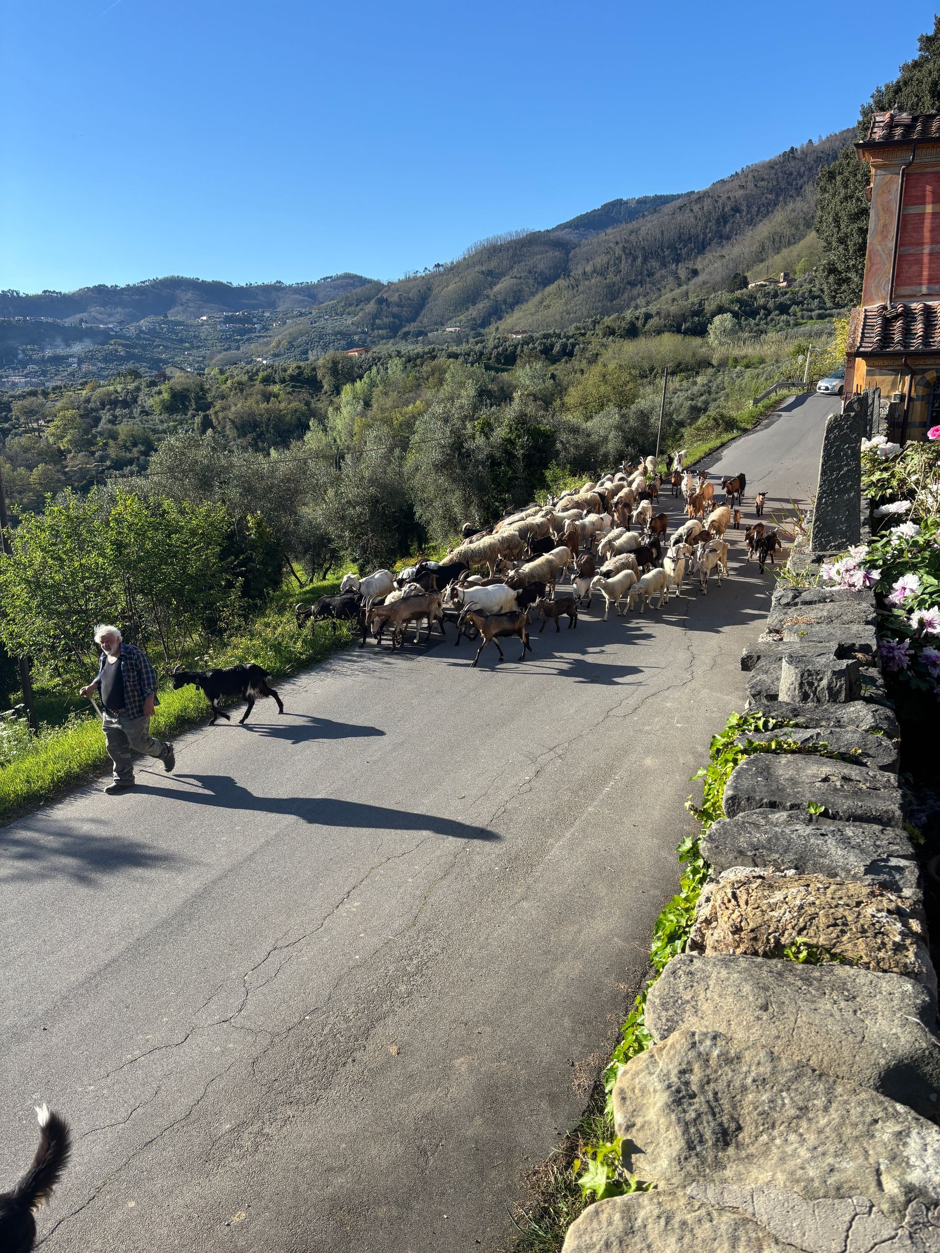 Tenuta di Valgiano