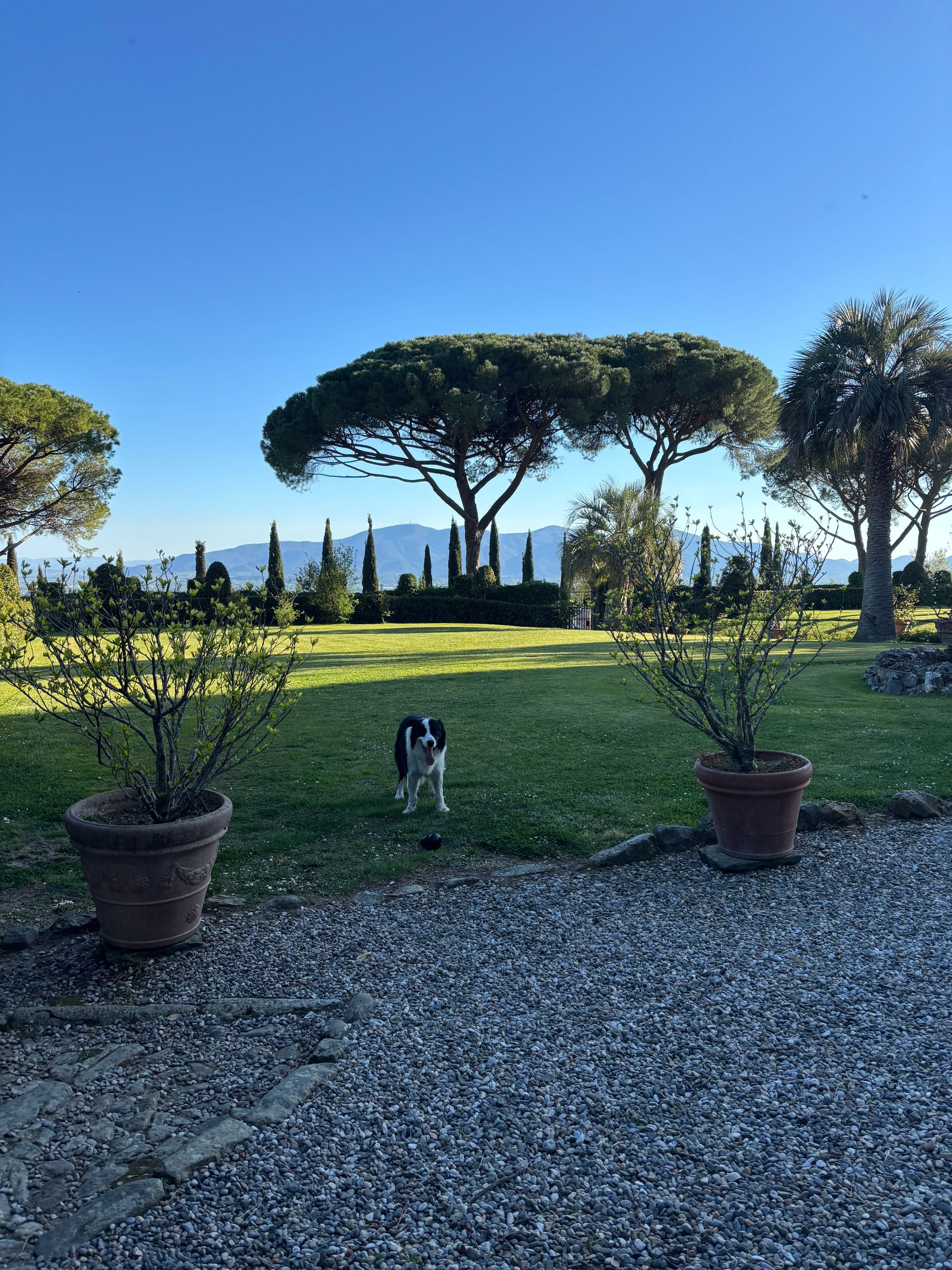 Tenuta di Valgiano