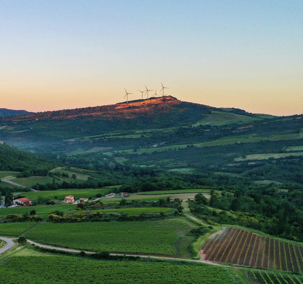 J.L. Denois Landscape