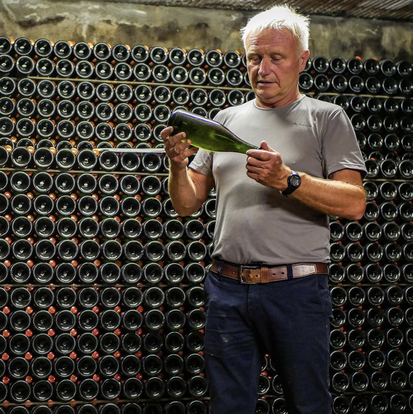 J.L. Denois winemaker inspecting champagne bottle in wine cellar with stacked bottles.