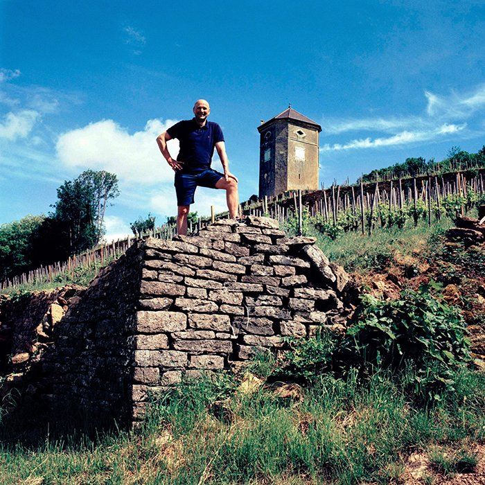 Stéphane Tissot In the vineyards