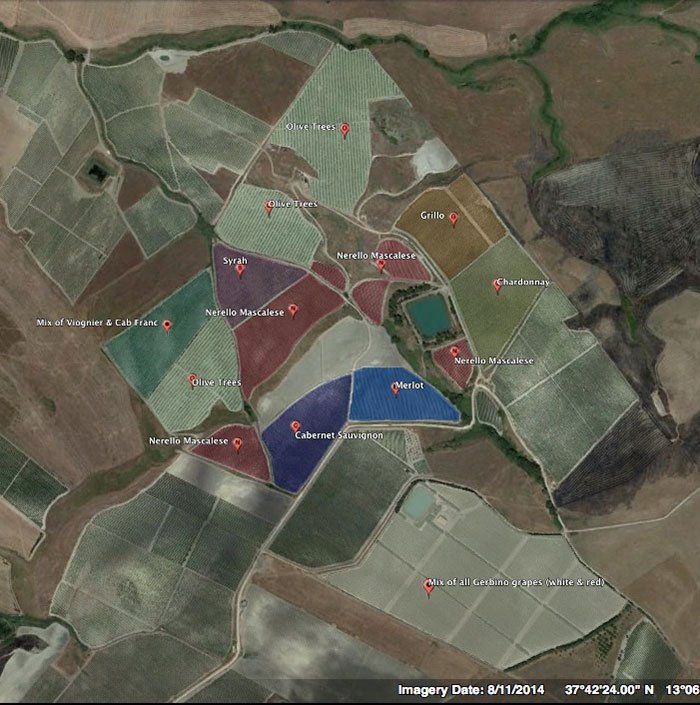 Satellite view of Di Giovanna vineyards and winery.