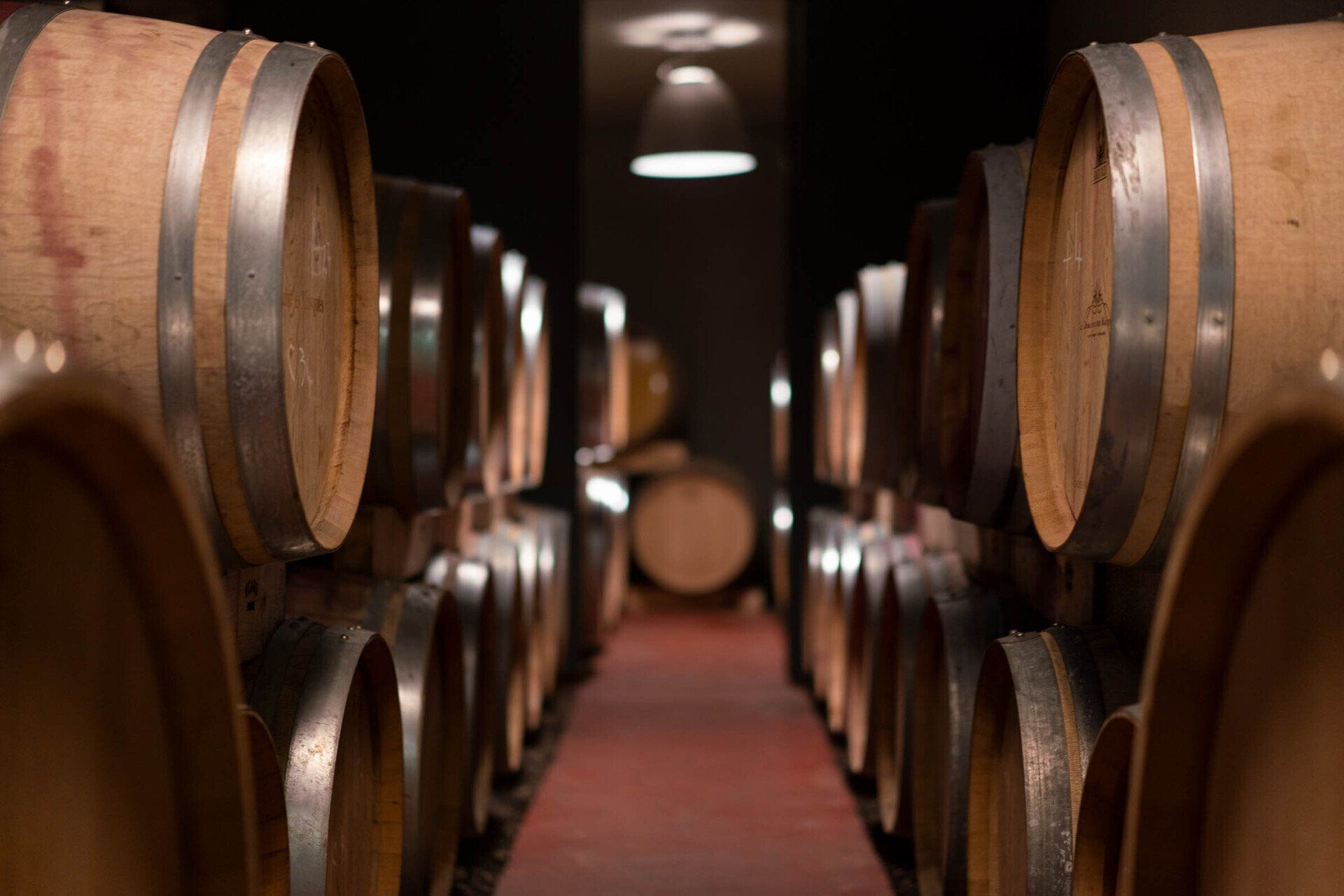 Domaine des Masques cellars