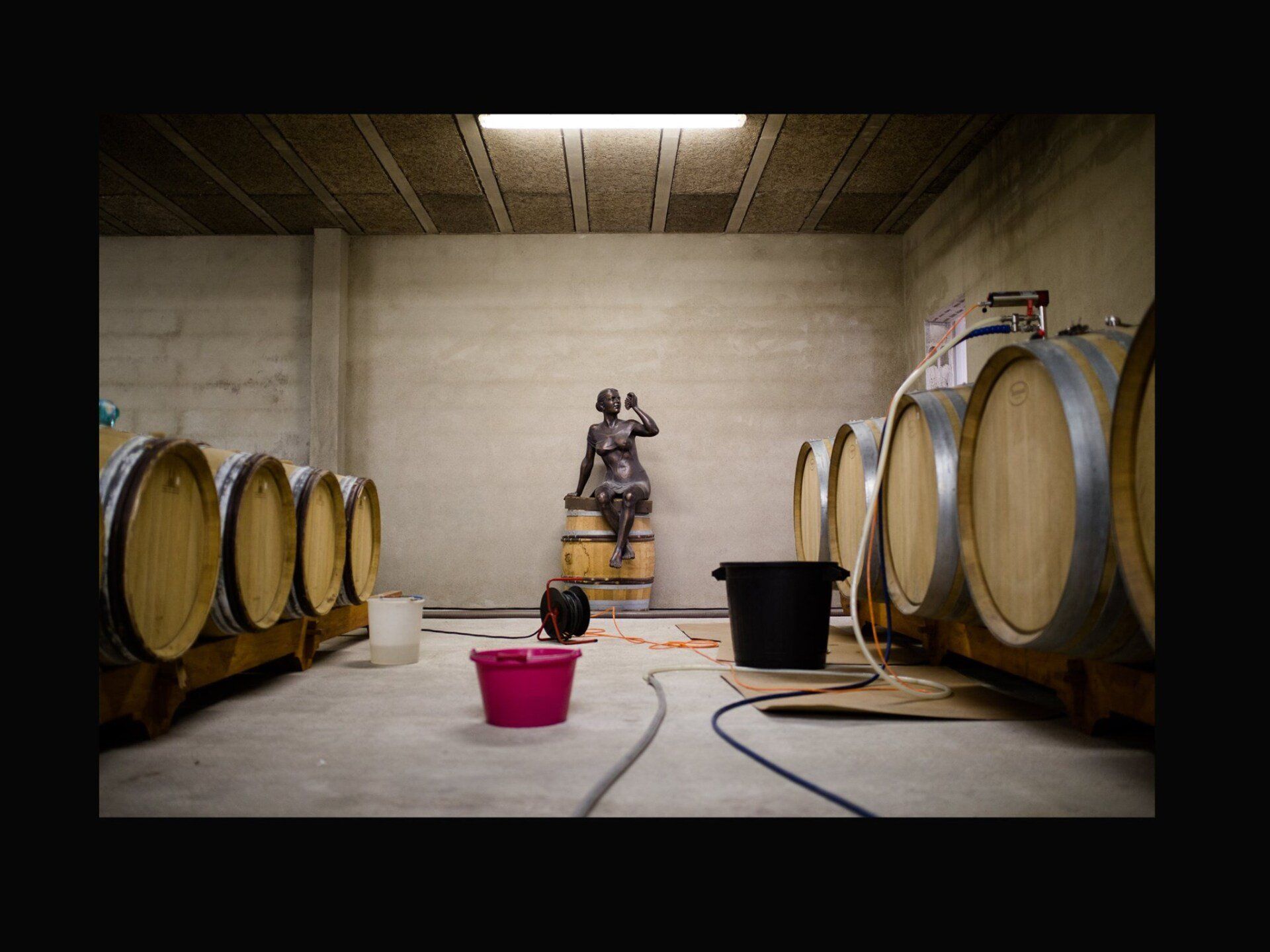 Luneau Papin Wine cellar with wooden barrels, a sculpture, and buckets.