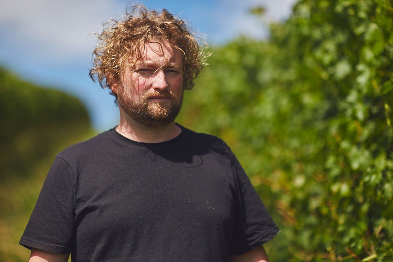 Patrick Sullivan, winemaker, standing in the vineyard