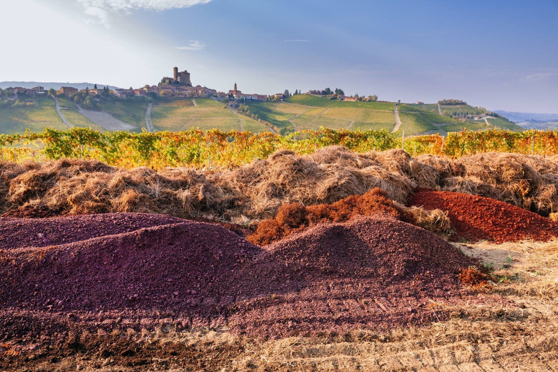 Piles of grape pomace in a vineyard, with a hilltop village in the background, at Rivetto.