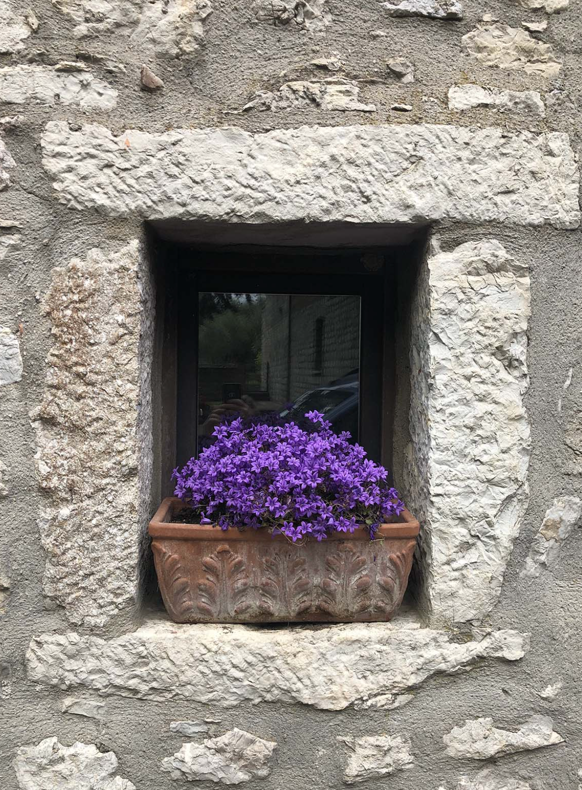 Fattoria La Rivolta