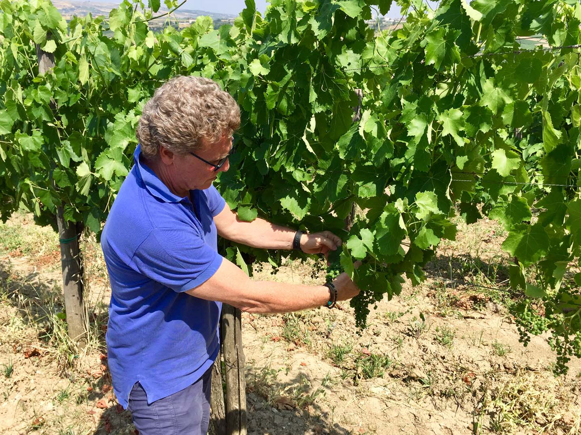 Fattoria La Rivolta