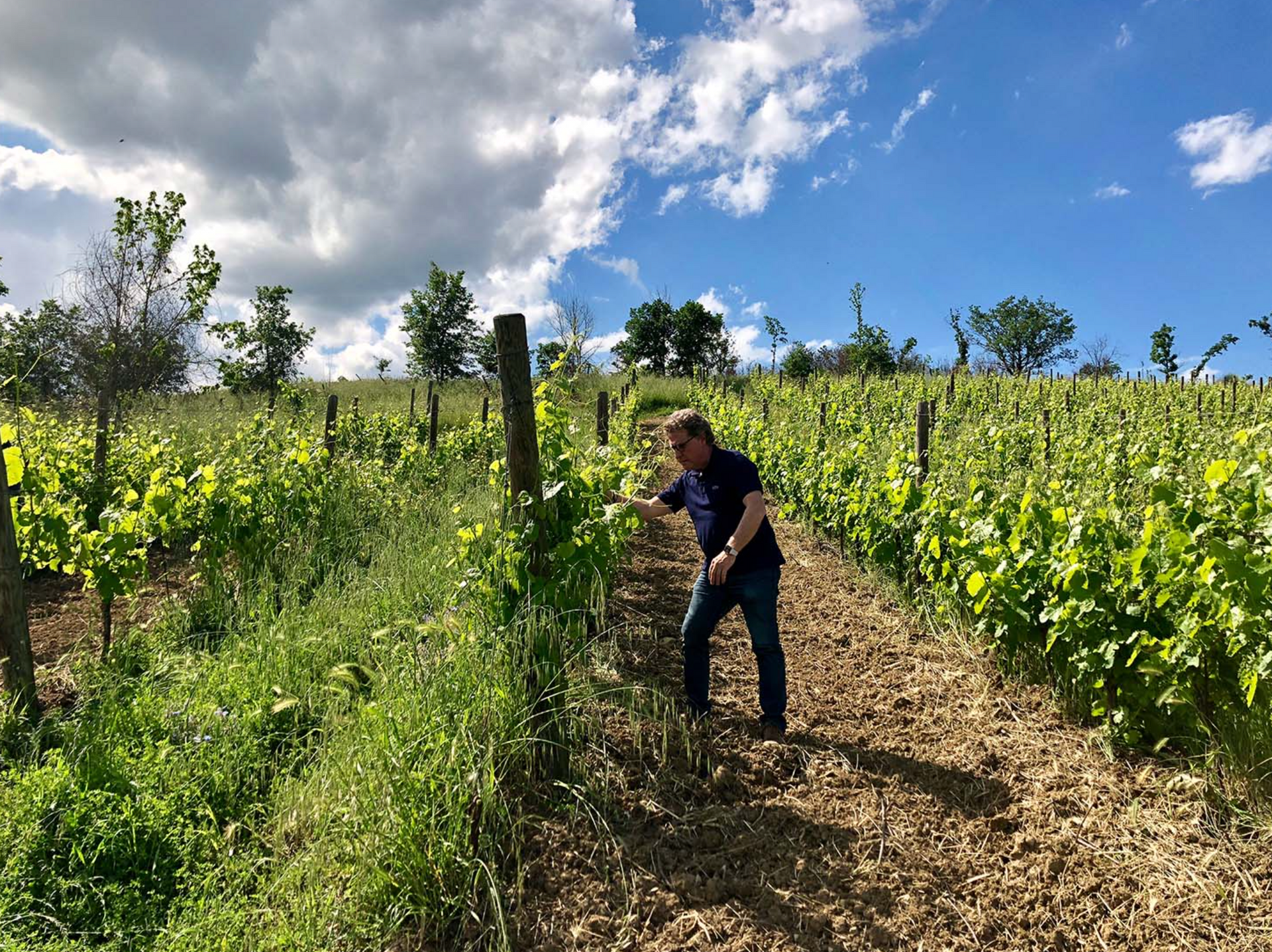 Fattoria La Rivolta
