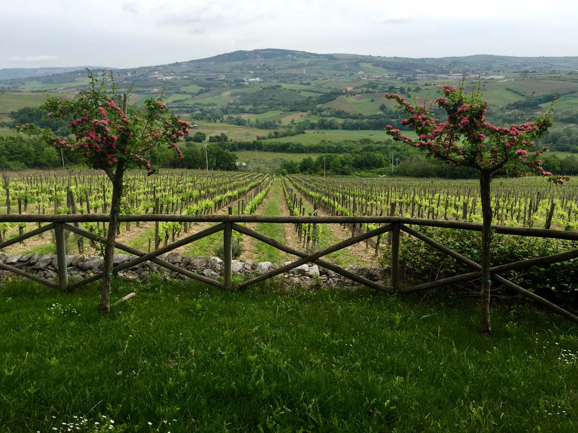 Fattoria La Rivolta