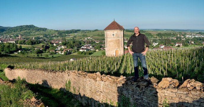 Tissot winemaker stands on a stone wall in a vineyard, with a tower and village in the background.