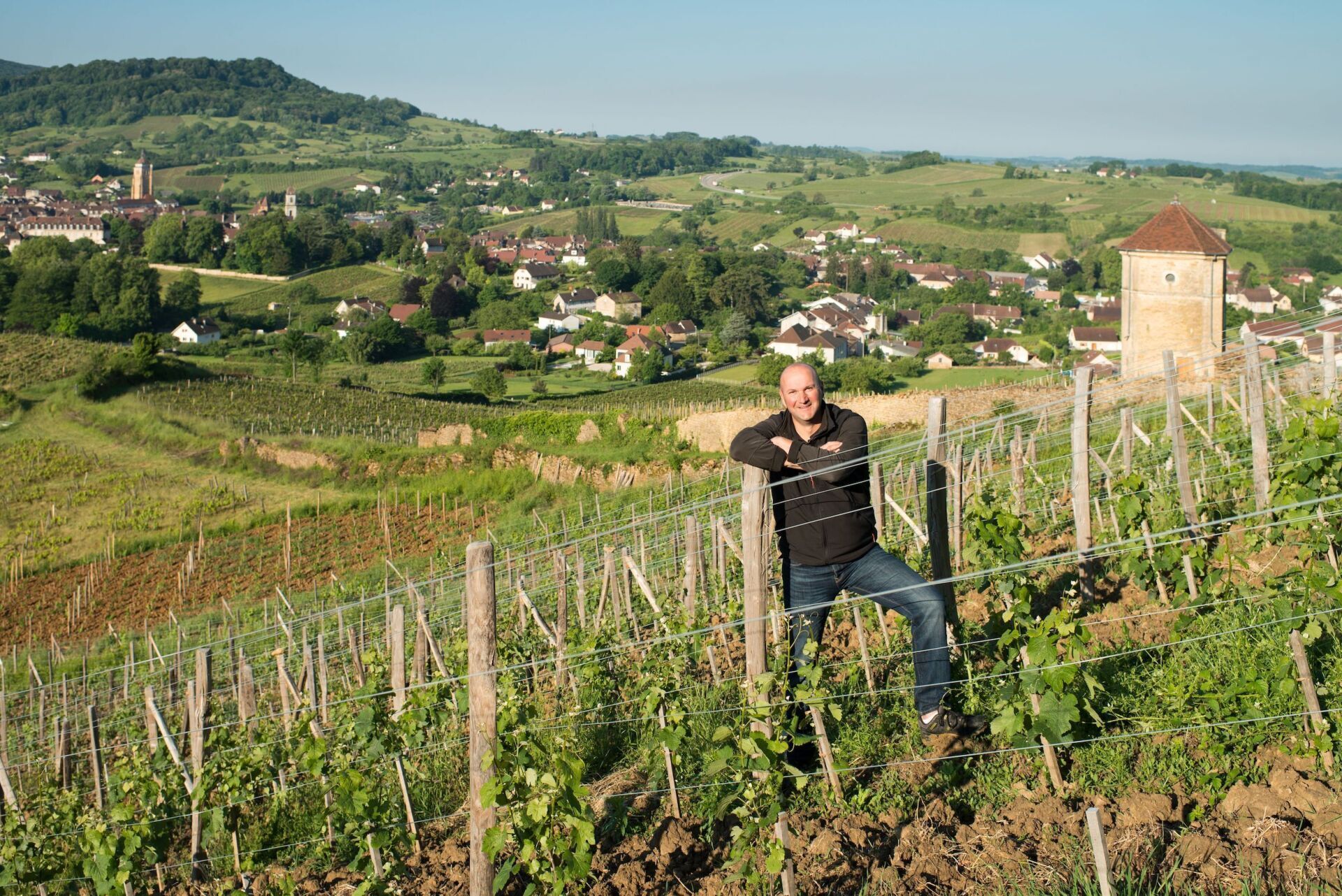 Tissot winemaker leaning on vineyard trellis, overlooking valley with town and tower.