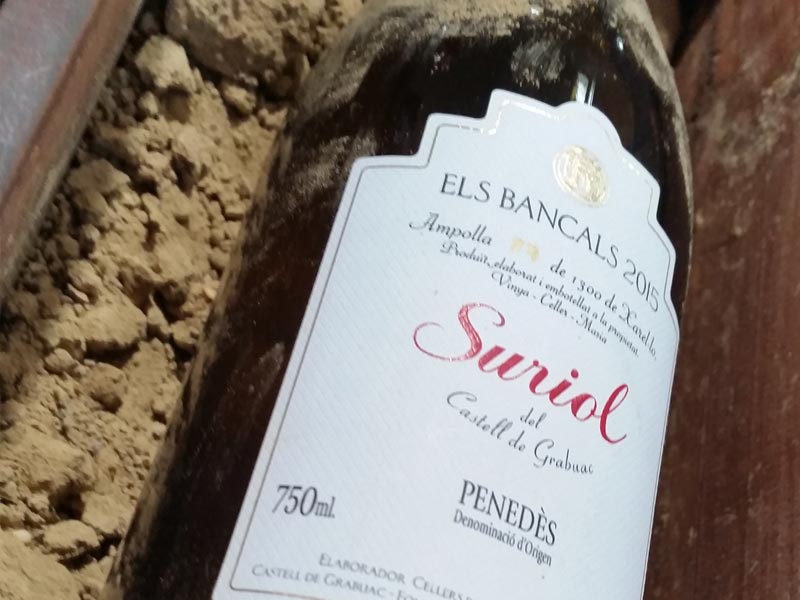 Wine bottle