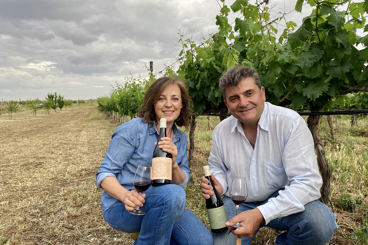 A man and a woman are sitting in a field holding bottles of wine.