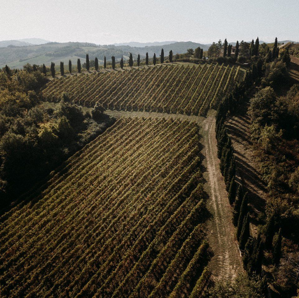 Venturini Baldini organic vineyards in Emilia Romagna