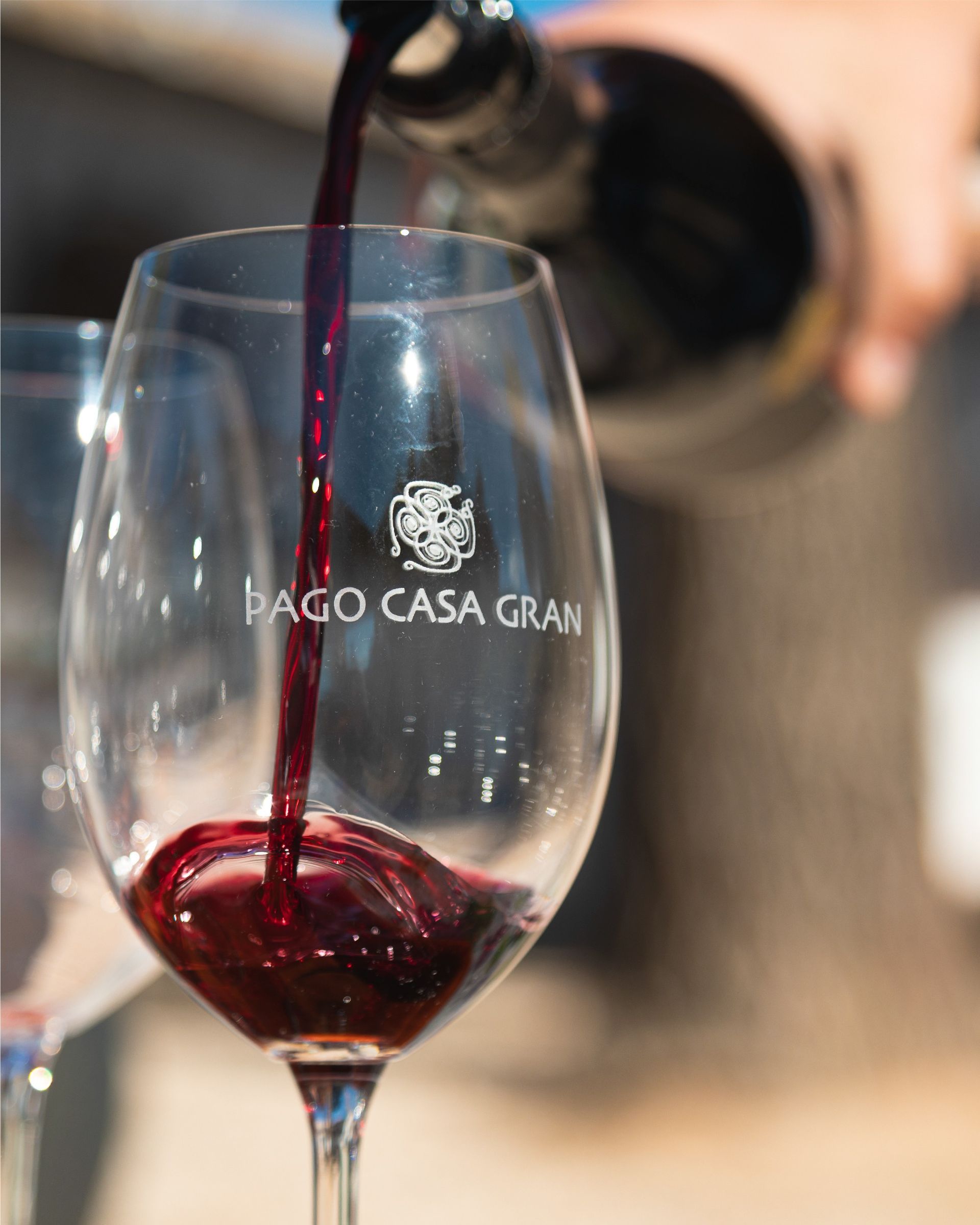 Pago Casa Gran