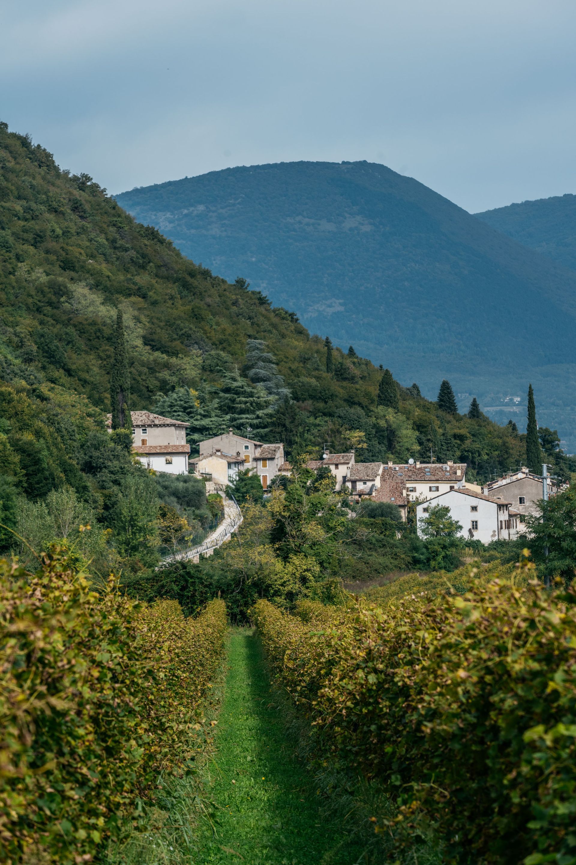 Le Fraghe