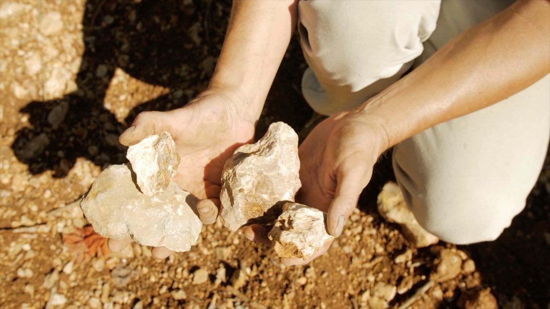 Gilbert & Gaillard Vineyard soil
