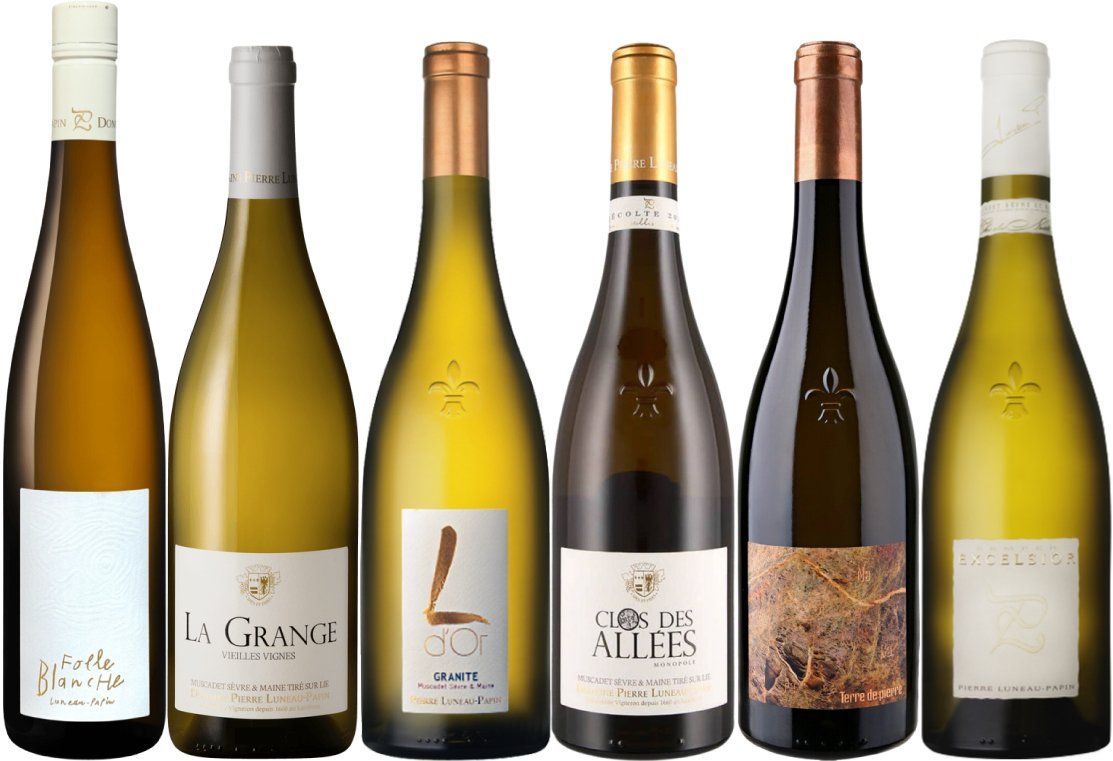 Luneau Papin - Line up of Wines