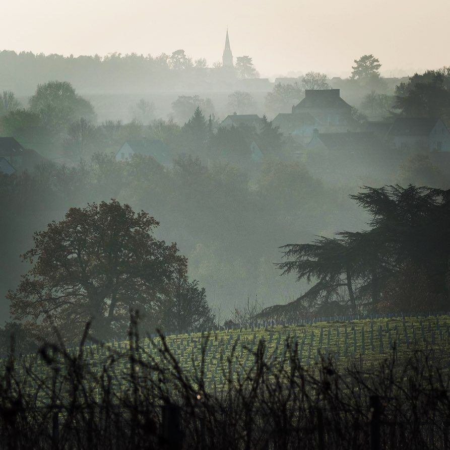 Domaine Belargus Landscape