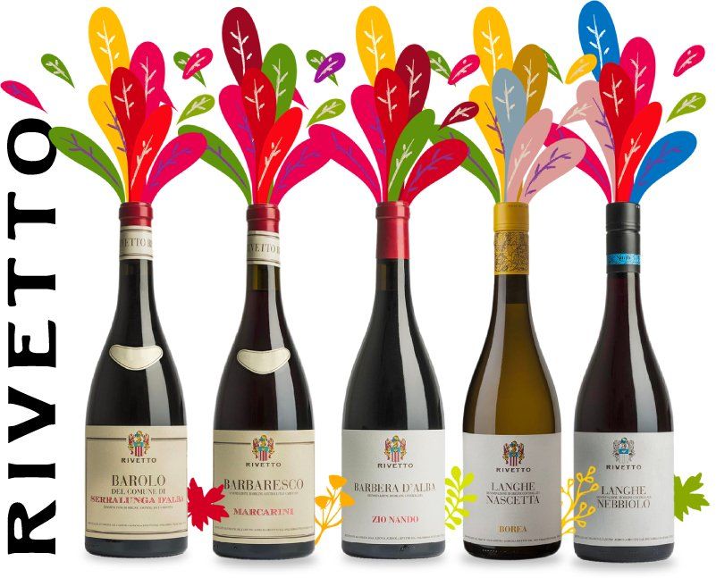 Rivetto - Line up of Wines