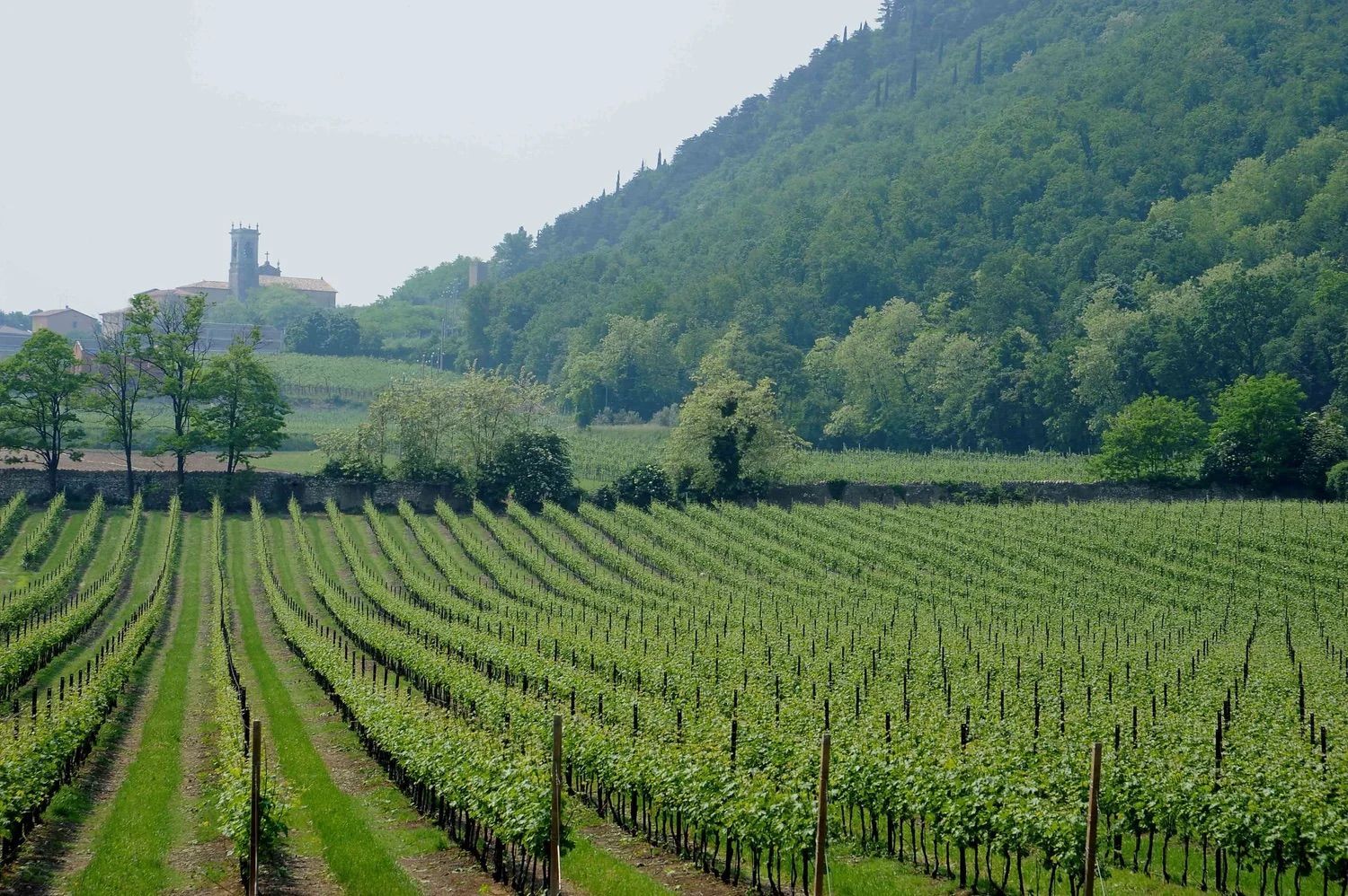 Le Fraghe