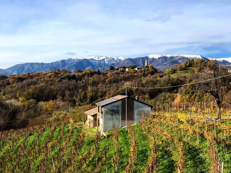 Tenuta Amadio views